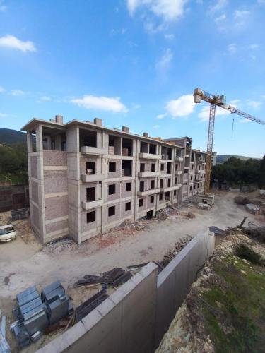 WhatsApp Image 2024-12-25 at 17.13.19 (1)